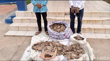 2 traffickers arrested with 81 kg scales of endagered giant pangolin & 24 nails